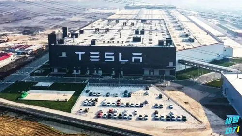 降低成本这招我会 丰田开发新车身技术，直指行业成本命门